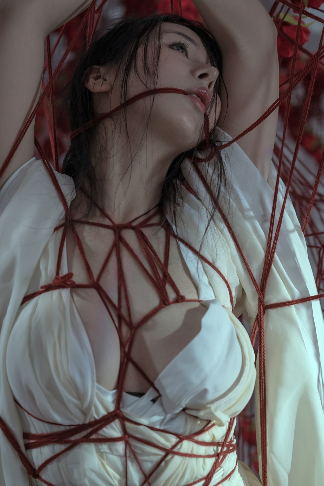 云溪溪 - 奶桃 囚鸟